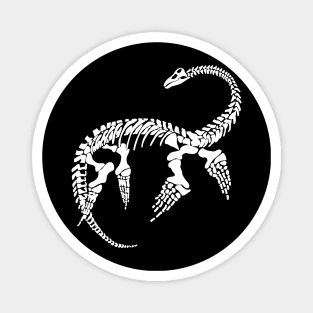 Terra Fossil Plesiosaur Dinosaur White Magnet